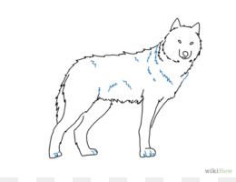 260x200 Free Download Gray Wolf Drawing Pencil Sketch - Wolf Sketch Easy