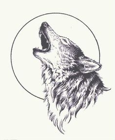 236x287 Drawn Howling Wolf Traditional - Wolf Sketch Howling