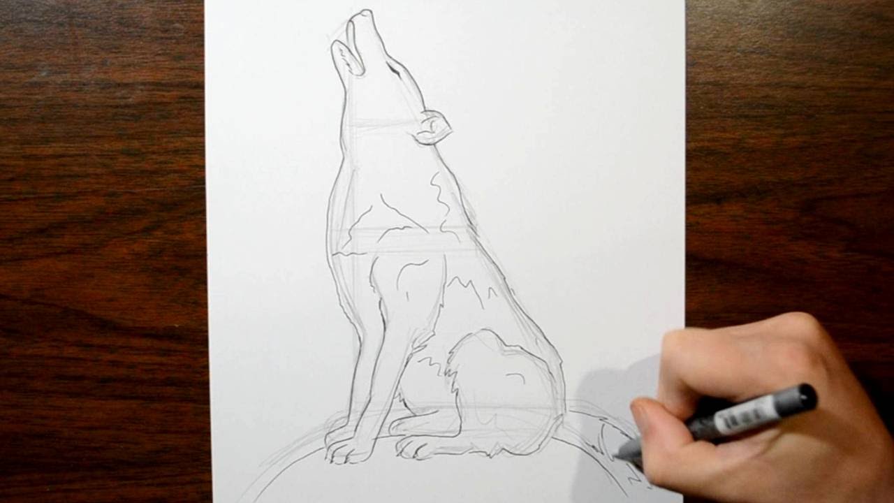 1280x720 How To Draw A Howling Wolf - Wolf Sketch Howling