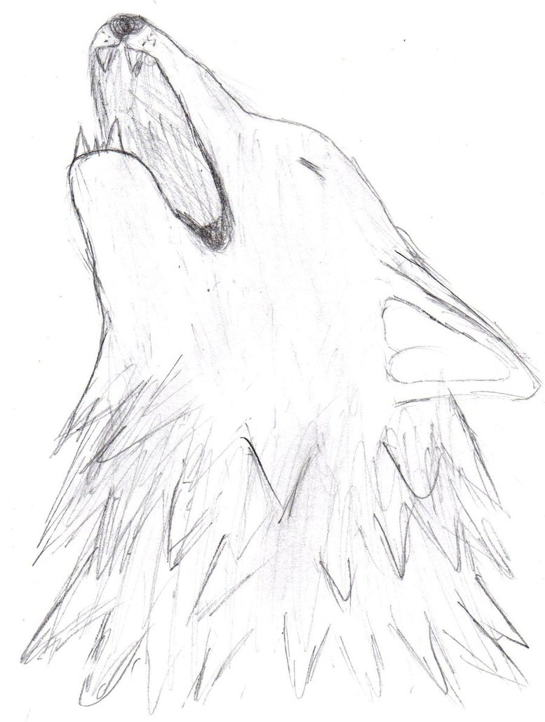 777x1029 Sketch Of Wolf Howling Howling Wolf Head Sketchthewolflover1000 On - Wolf Sketch Howling