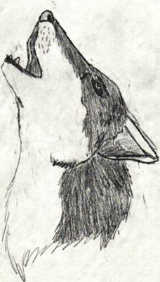 228x400 Wolf Howling Sketch - Wolf Sketch Howling
