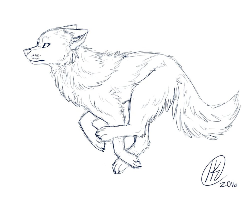 1008x792 Wolf Sketch By The Flaming Tiger - Wolf Sketch Images