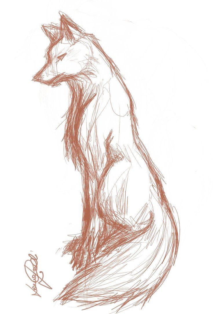 736x1084 Wolf Sketch By ~finnhuman97 . Drawing Illustration - Wolf Sketch Images