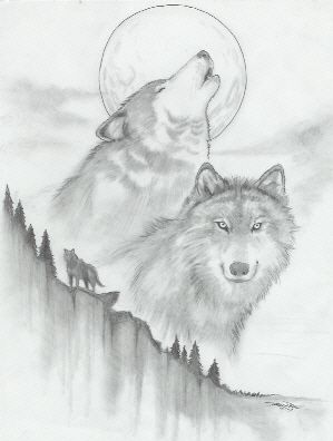 Wolf Sketch Images at PaintingValley.com | Explore collection of Wolf ...