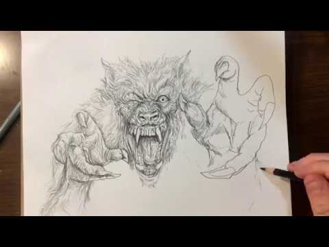 480x360 Wolf Sketch Warm Up Drawing - Wolf Sketch Images