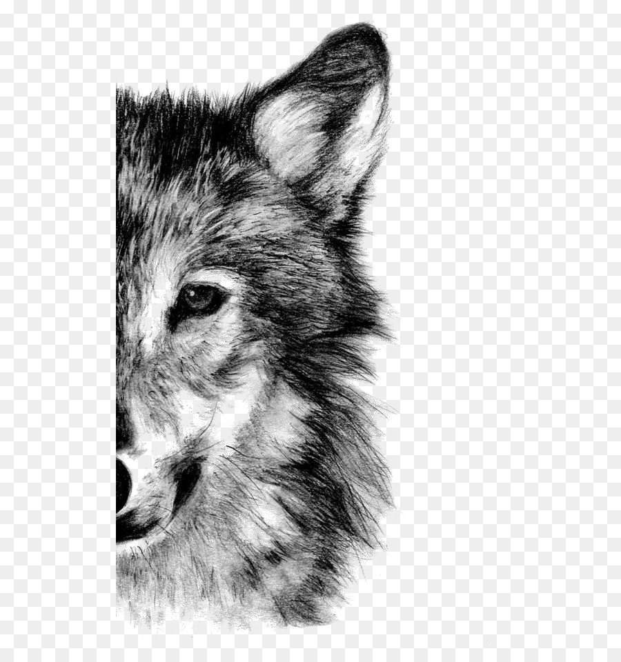 Wolf Sketch Images At PaintingValley.com | Explore Collection Of Wolf ...