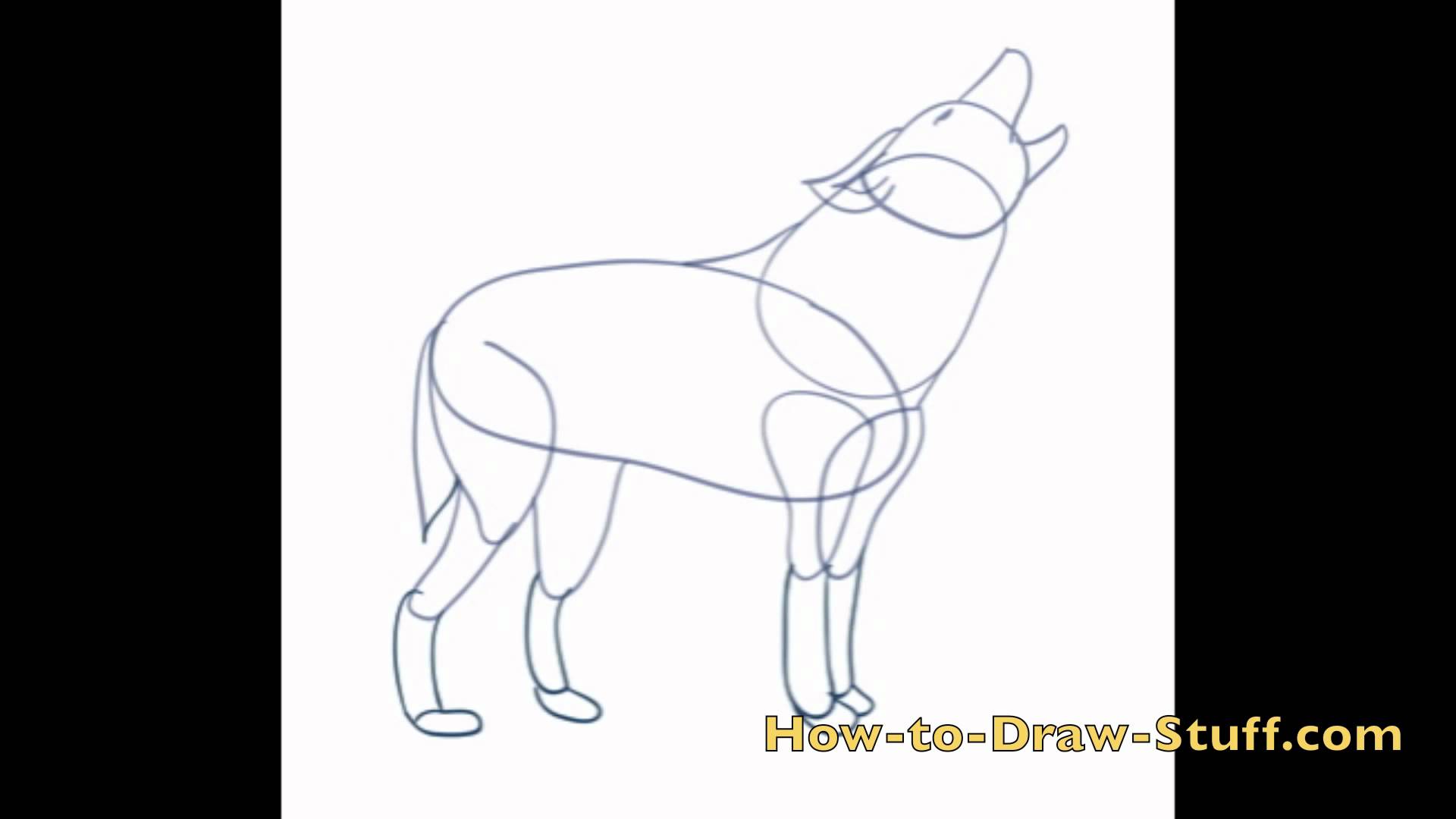 1920x1080 How To Draw A Wolf Step By Step - Wolf Sketch Step By Step