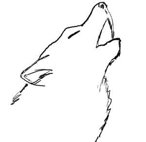 300x290 Simple Wolf Drawing Native American Drawings, Wolf - Wolf Sketch Step By Step