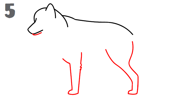 640x365 How To Draw A Wolf - Wolf Sketch Step By Step