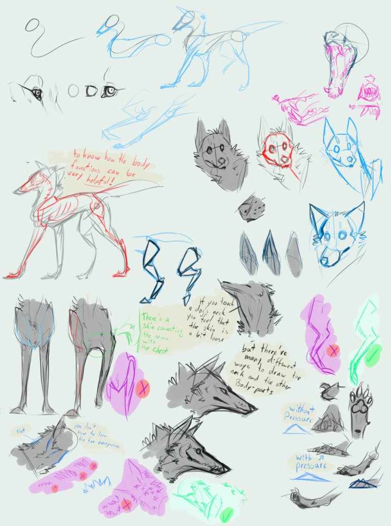 771x1037 Sketch Tutorial By Remarin - Wolf Sketch Tutorial