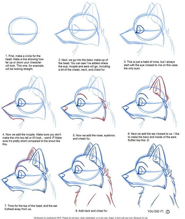 640x756 Wolf Sketch Tutorial Repostmiscellaneous In 2018 - Wolf Sketch Tutorial