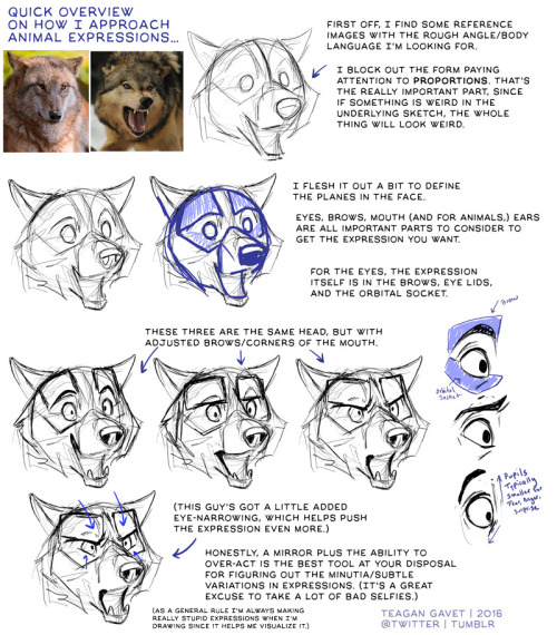 500x570 Wolf Tutorial Tumblr - Wolf Sketch Tutorial