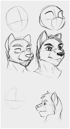 243x450 Drawing Tutorial Step Werewolf Human Anime - Wolf Sketch Tutorial