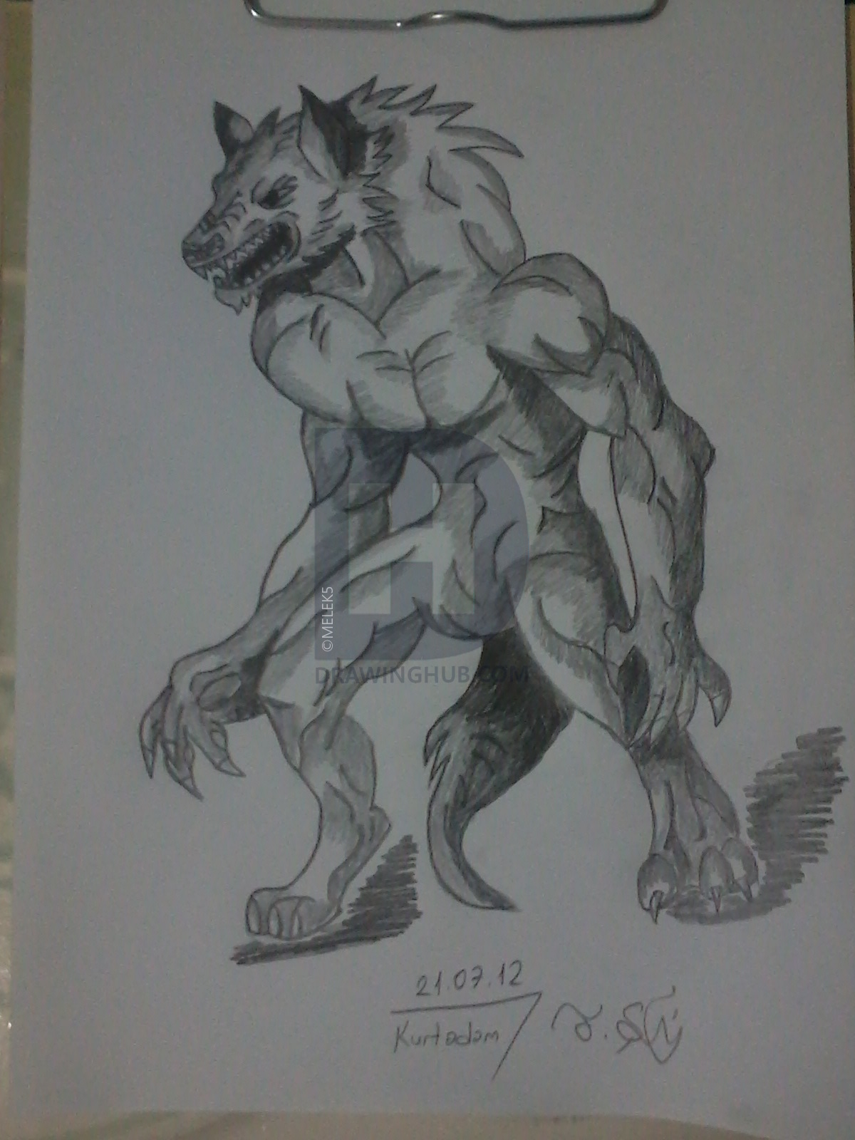 1200x1600 My Wolfman Sketch Drawing By Melek5 Drawinghub - Wolfman Sketch