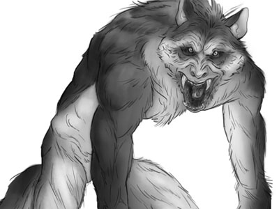400x300 Wolfman Sketch - Wolfman Sketch