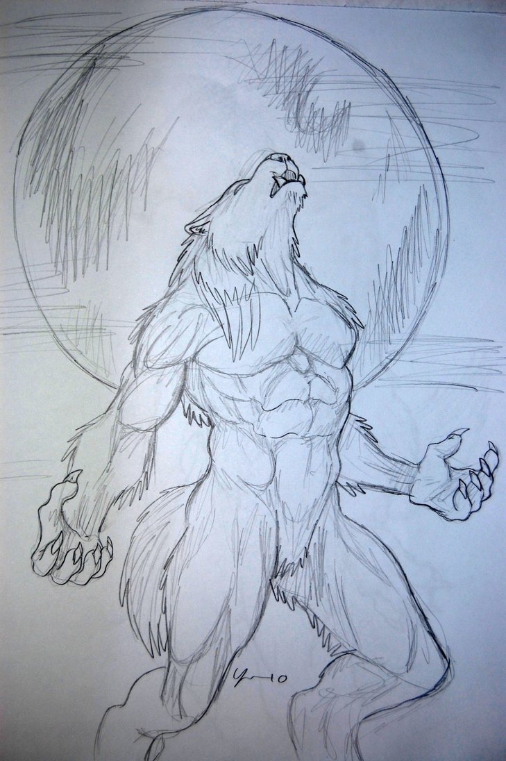 729x1096 Wolfman Sketch - Wolfman Sketch