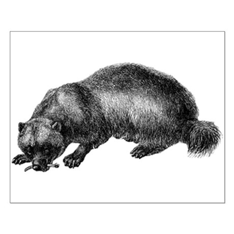 460x460 Wolverine Animal Posters - Wolverine Animal Sketch