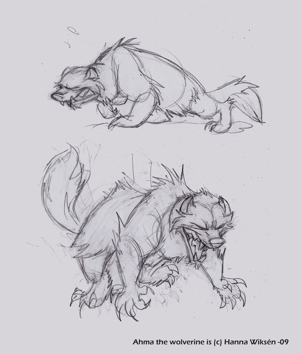 600x702 Wolverine Character Design By Han Wik - Wolverine Animal Sketch