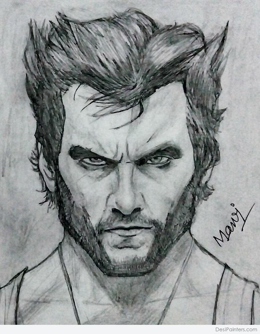 Wolverine Pencil Sketch at Explore collection of