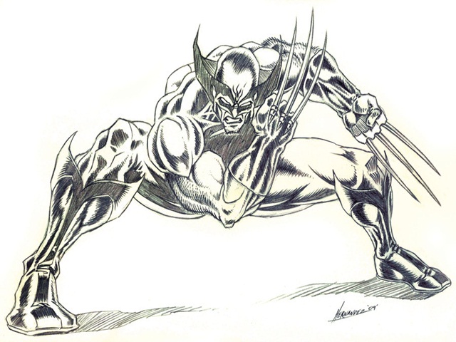 640x480 30 Wolverine Cartoon Character Sketches - Wolverine Pencil Sketch