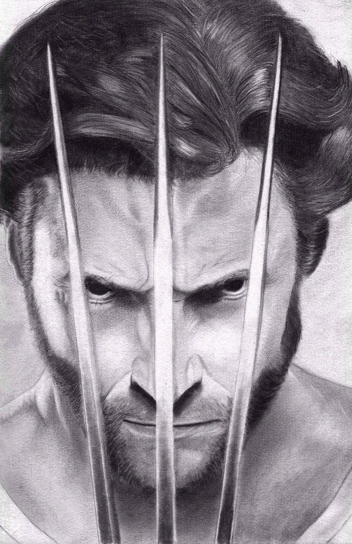 Wolverine Pencil Sketch at PaintingValley.com | Explore collection of ...