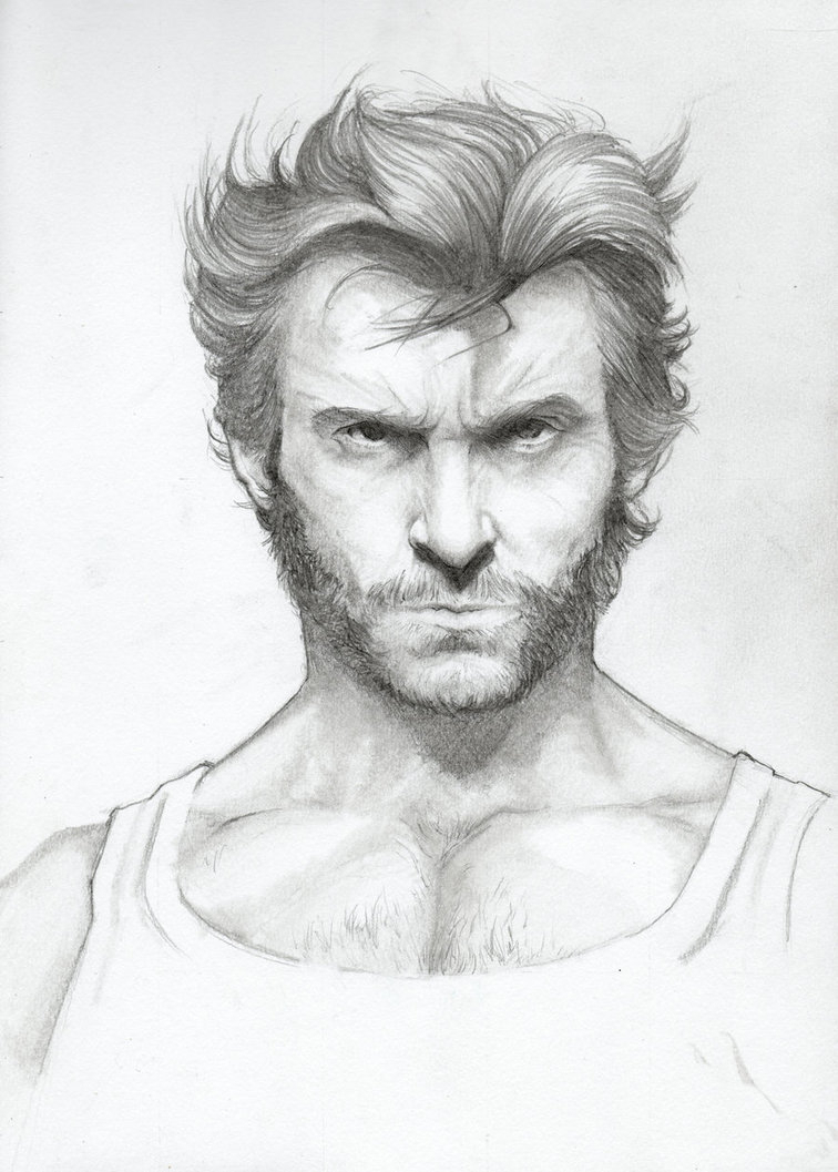 Wolverine Pencil Sketch at PaintingValley.com | Explore collection of ...