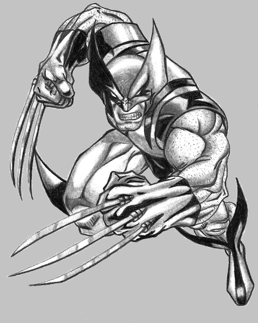 900x1126 Drawn Pice Wolverine - Wolverine Pencil Sketch
