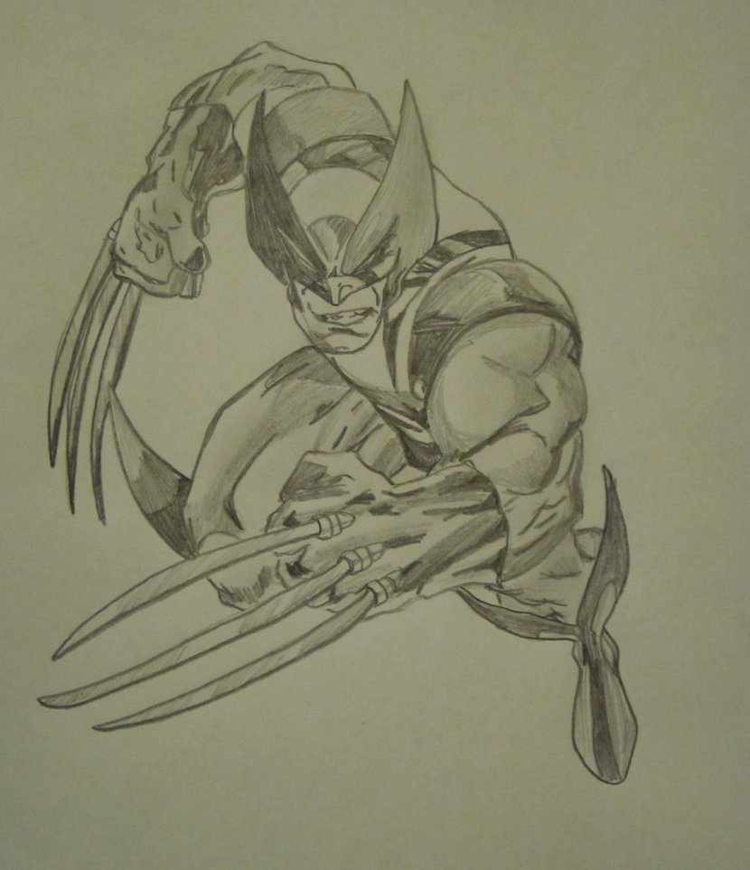 830x963 Wolverine Pencil Sketch By Lmete - Wolverine Pencil Sketch