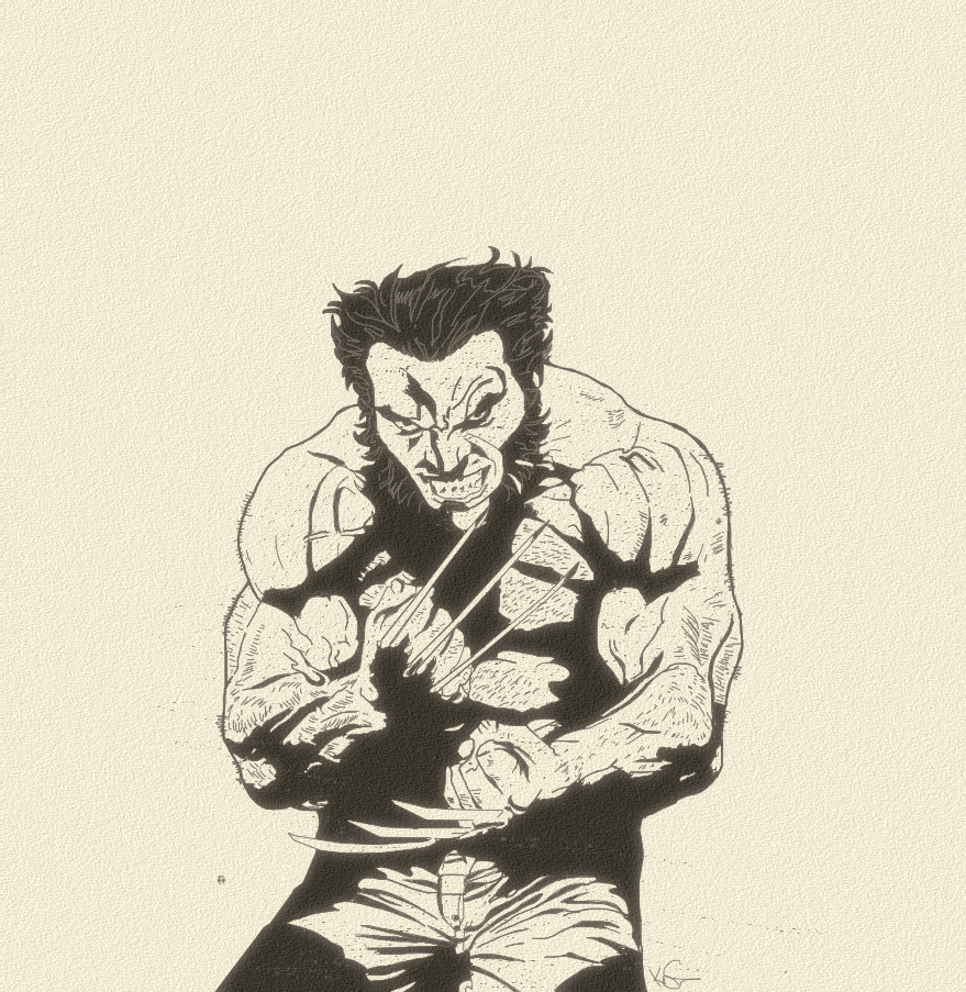 879x903 Wolverine - Wolverine Sketch
