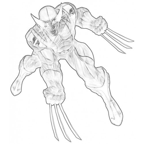 Wolverine Sketch at PaintingValley.com | Explore collection of ...