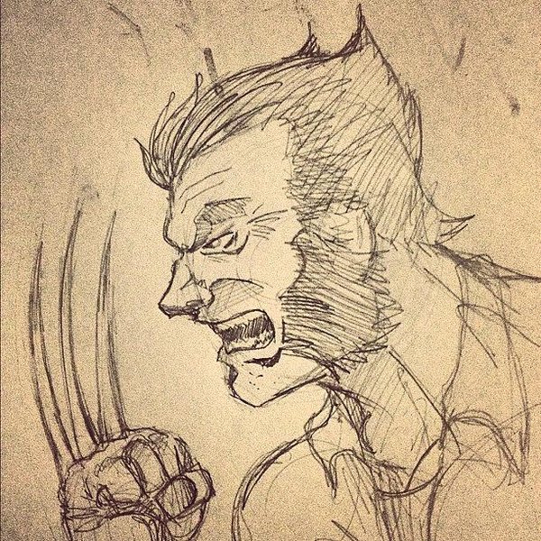 600x600 Wolverine Sketch - Wolverine Sketch