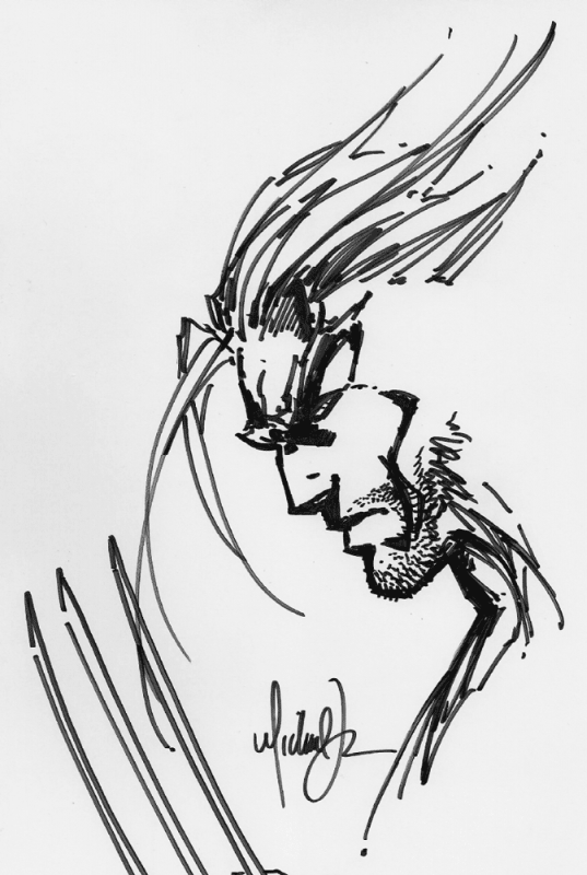 537x800 Wolverine Sketch - Wolverine Sketch