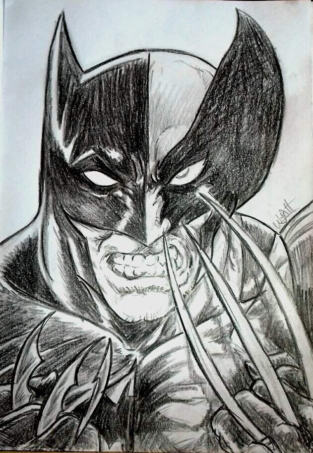 631x913 Batmanwolverine Sketch! Marvel Amino - Wolverine Sketch