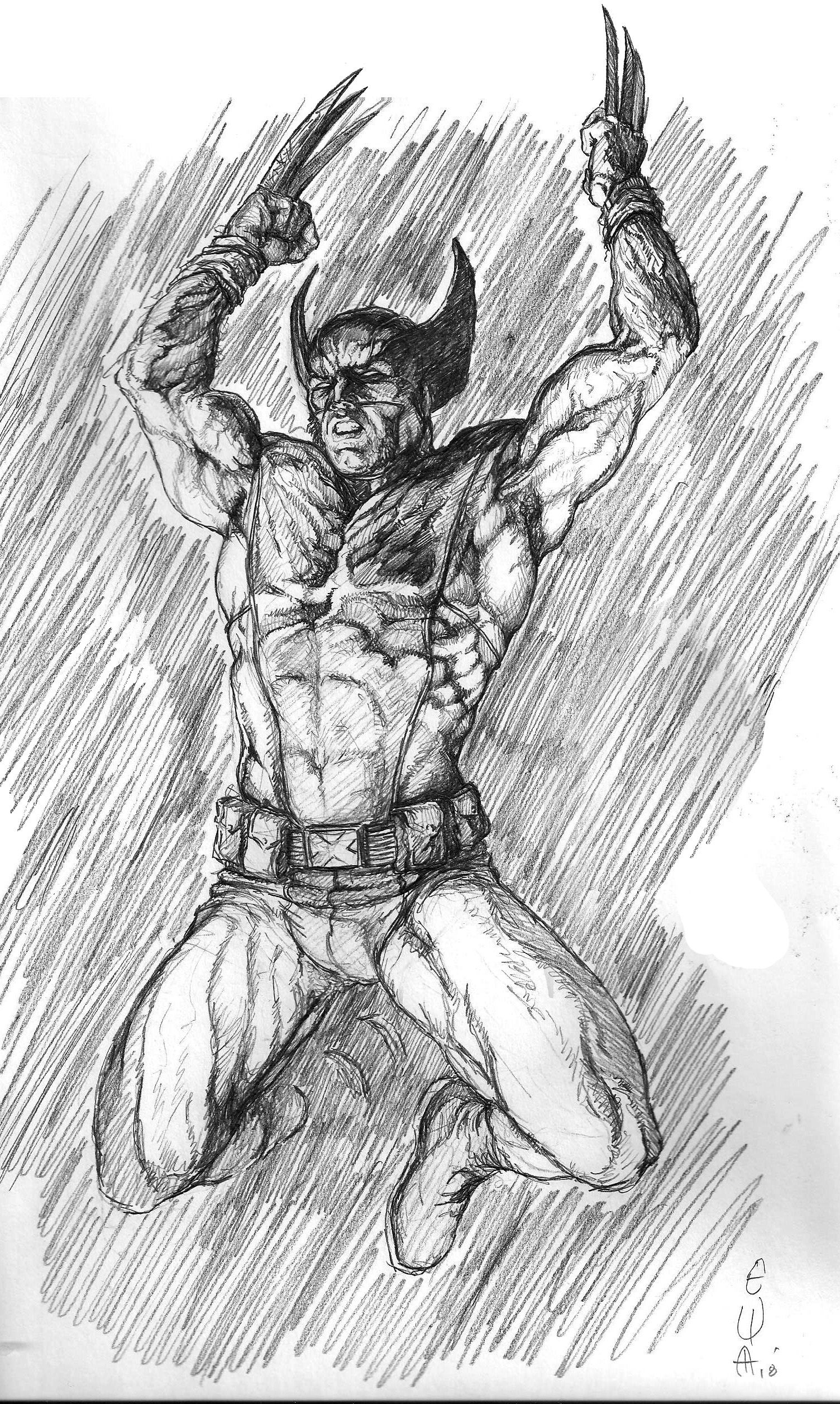 1504x2512 Wolverine Sketch By Eric Meador Wolverine - Wolverine Sketch