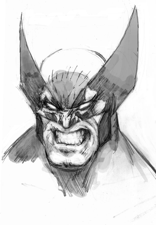 625x900 Wolverine Sketch By Arjorda Marveldc - Wolverine Sketch