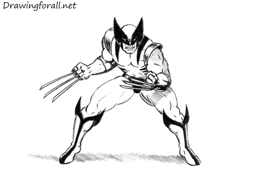 1024x728 Wolverine Drawing, Pencil, Sketch, Colorful, Realistic Art Images - Wolverine Sketch Art