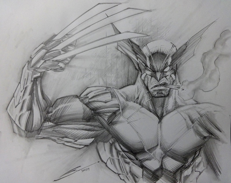 800x634 Wolverine Sketch - Wolverine Sketch Art