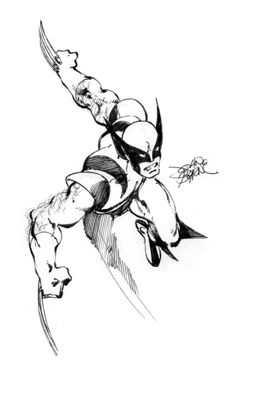 540x801 Wolverine Sketch By John Byrne Sketches John Byrne - Wolverine Sketch Art
