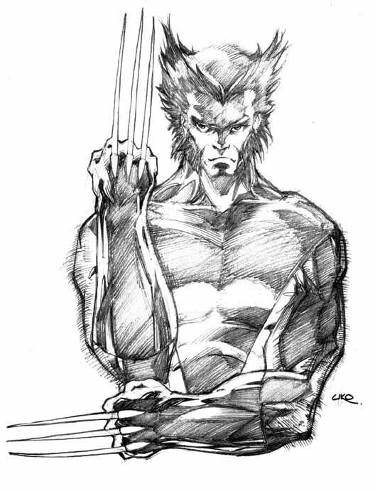 528x691 Wolverine Sketch - Wolverine Sketch Art
