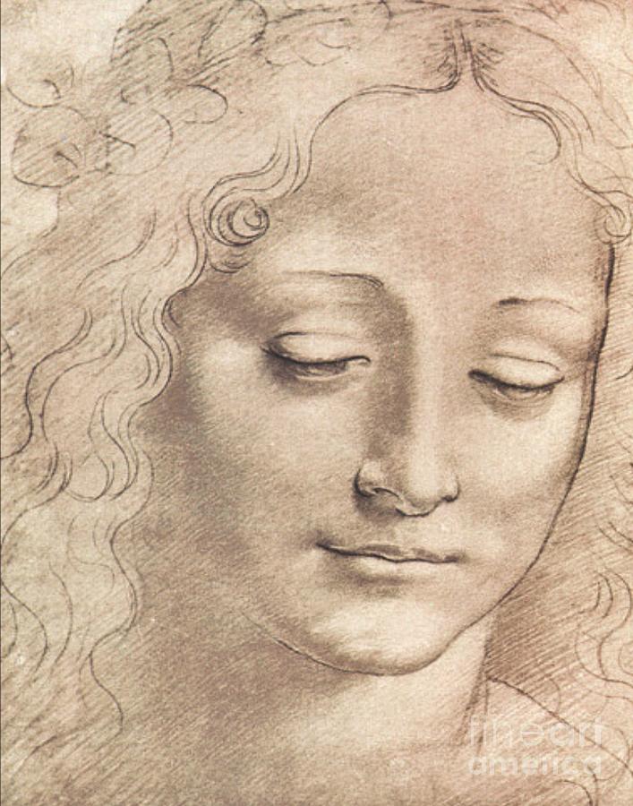 707x900 Leonardo Da Vinci Head Of A Woman Sketch Drawing By Leonardo Da Vinci - Woman Head Sketch