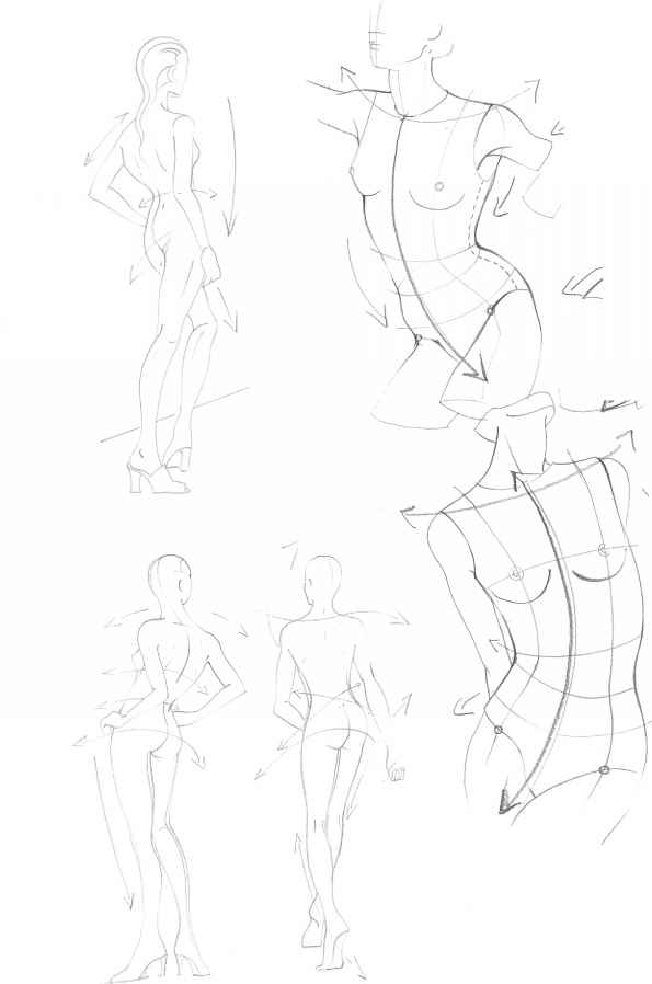 595x898 The Upper Body - Womans Body Sketch