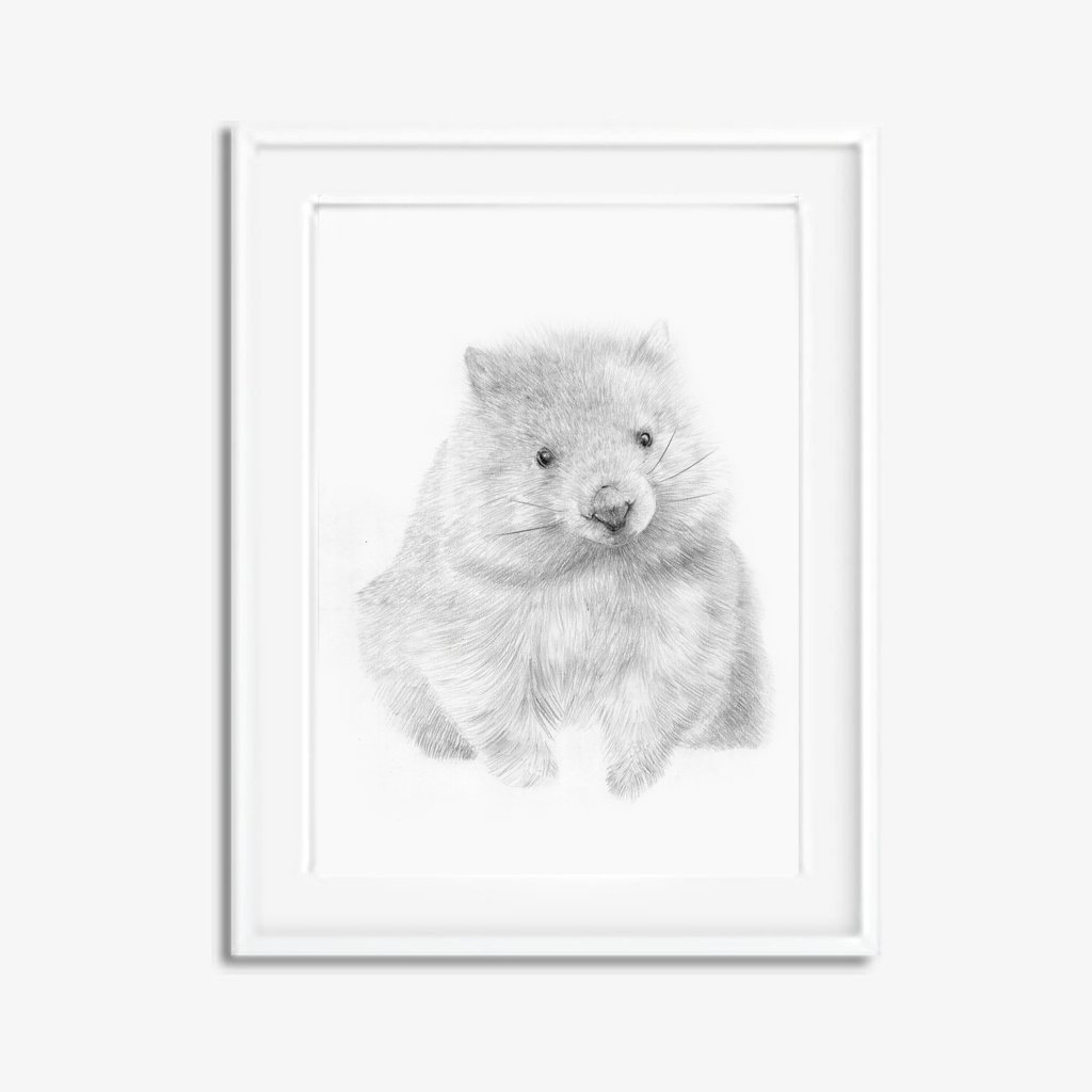 1024x1024 Walter The Wombat Original Australian Animal Pencil Drawing - Wombat Sketch