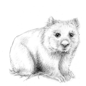 360x360 Wombat Graphic T Shirt By Eileenworssam7 Redbubble - Wombat Sketch