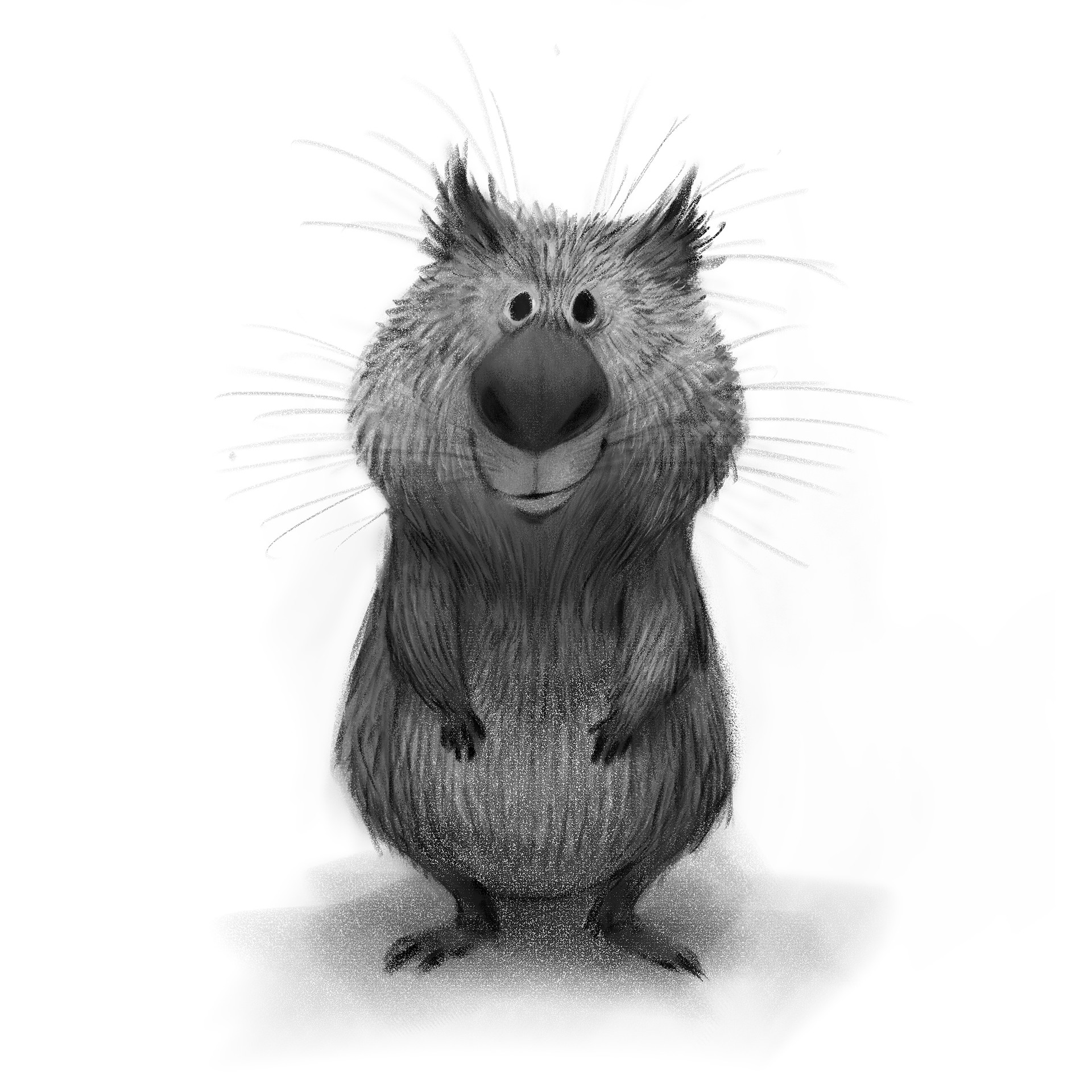 1920x1920 Art Of Sam Nassour Website - Wombat Sketch