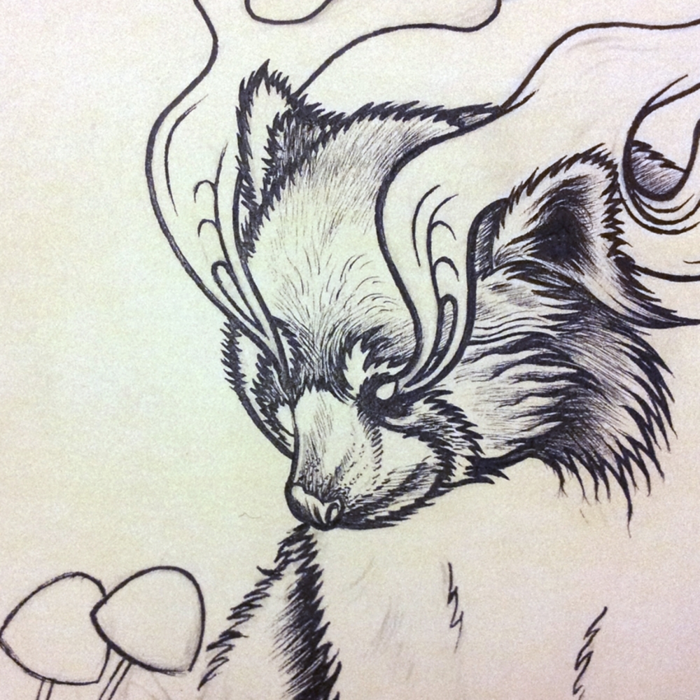 1000x1000 Wonder [Sketch] By Mat Miller (Matmiller), From The Series Bestial - Wonder Sketch