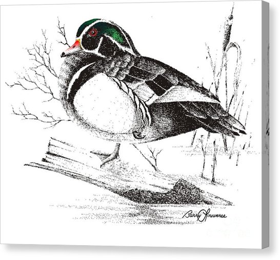 546x506 Wood Duck On Log Painting By Barry Louwerse - Wood Duck Sketch