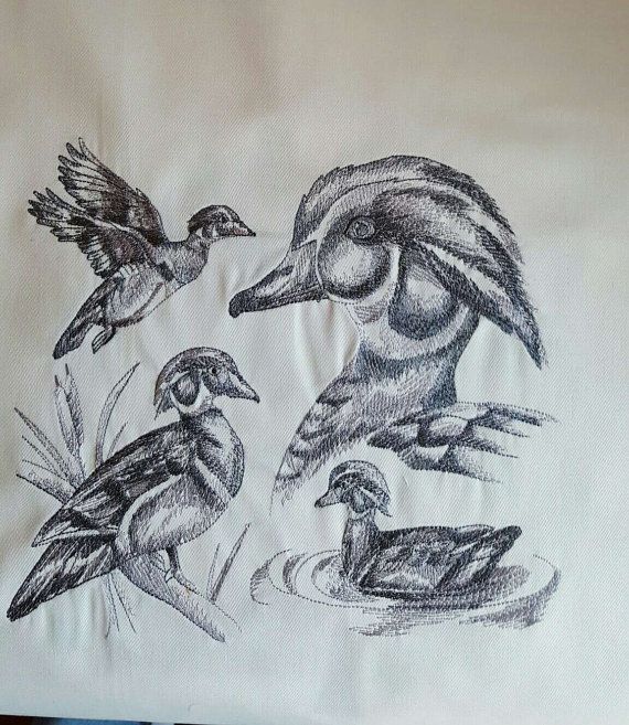 570x657 Wood Duck Sketch Sketches, Woods And Walls - Wood Duck Sketch