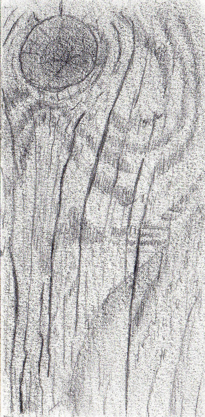 Wood Grain Sketch at Explore collection of Wood
