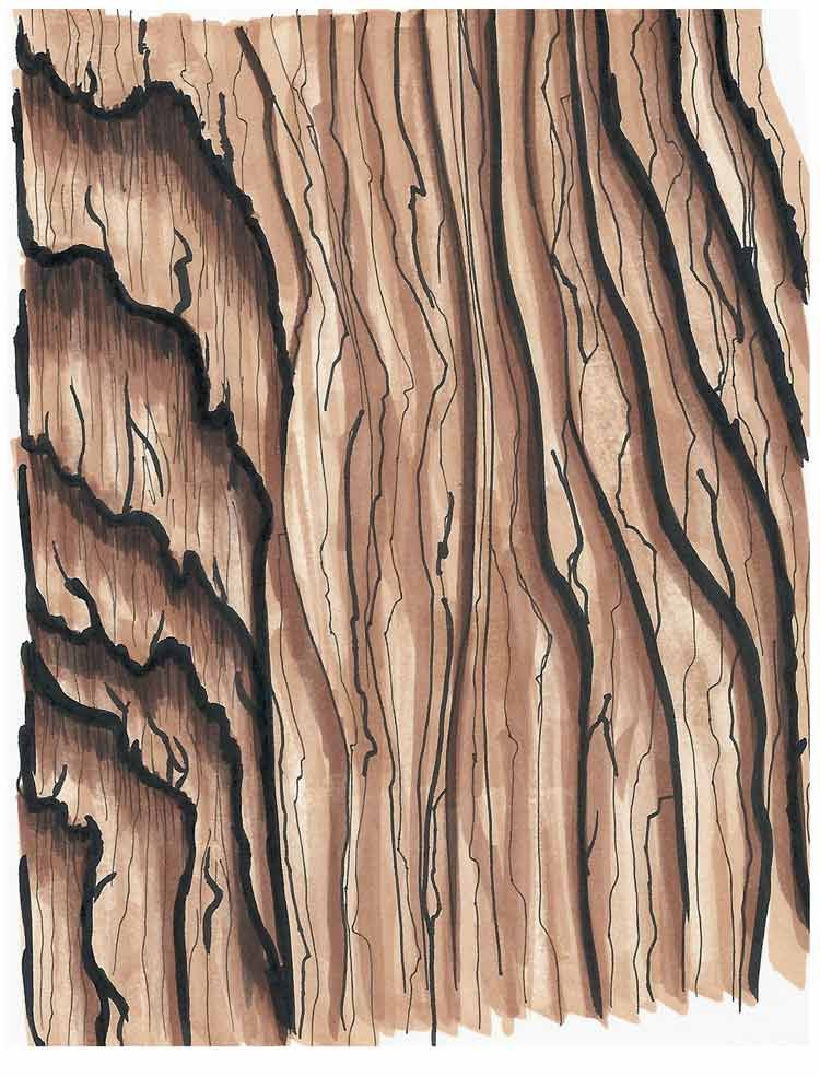 750x985 Copic Inspire Techniques To Master Drawings, Copic - Wood Grain Sketch