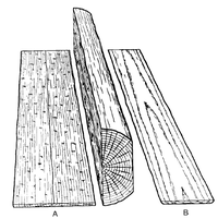 200x200 Wood Grain - Wood Grain Sketch